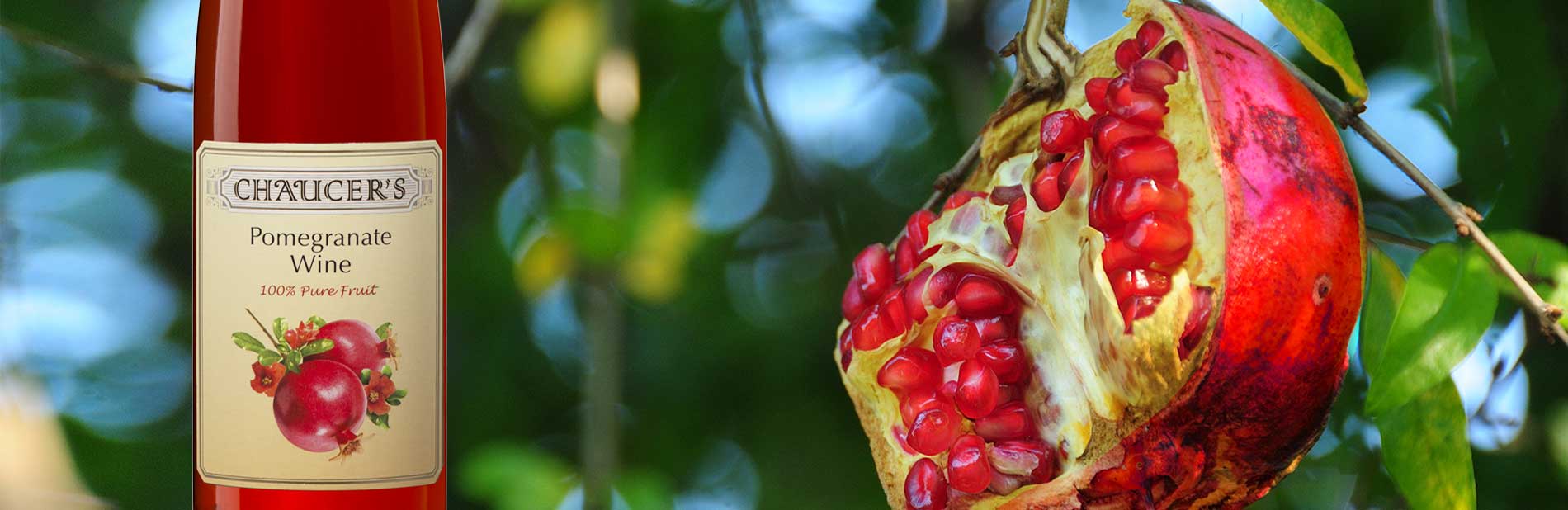 Chaucer's Honey Mead and Premium Fresh Fruit Wine Since 1964